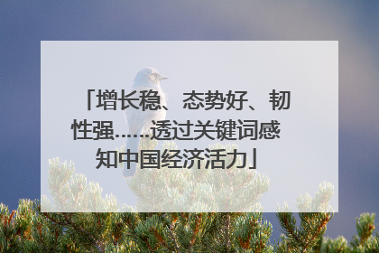 增长稳、态势好、韧性强……透过关键词感知中国经济活力